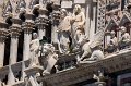 0282Duomo di Siena